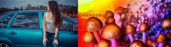 мдпв Новодвинск