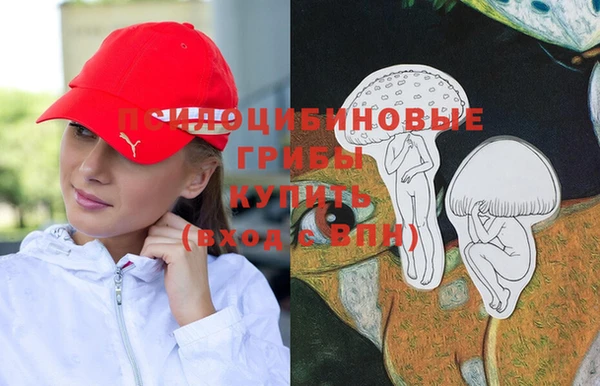 дживик Армянск