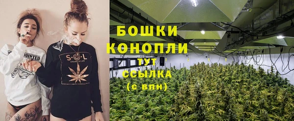 apvp Алзамай