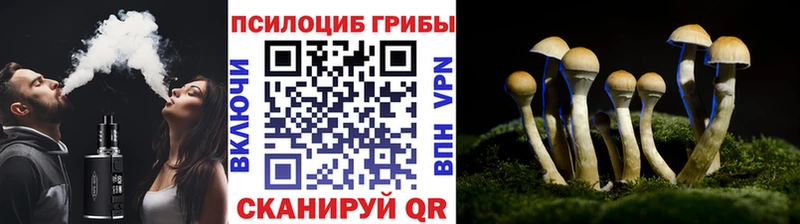 Псилоцибиновые грибы мухоморы  Красный Кут 